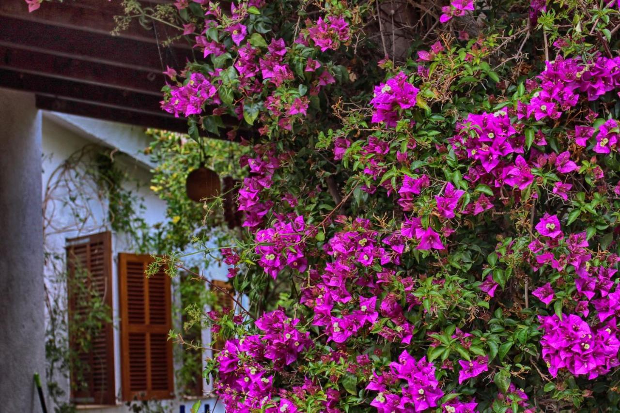 Chalet Tres Mares, Cala Millor Vakantiehuis *